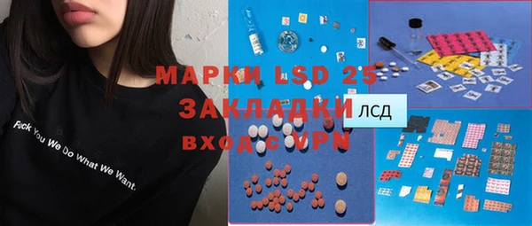 spice Богданович