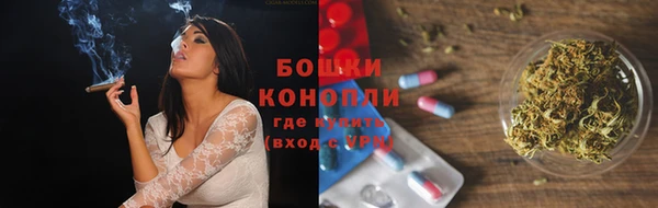 крисы Сосновка