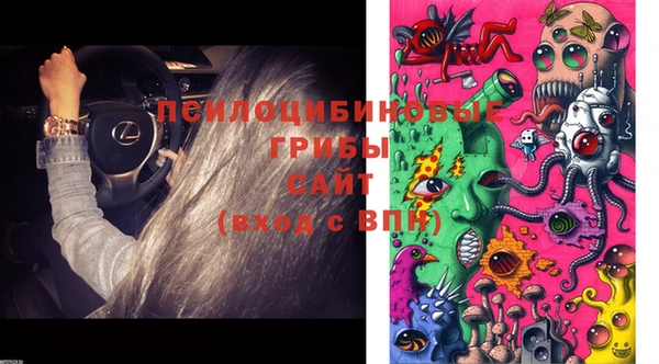 spice Богданович